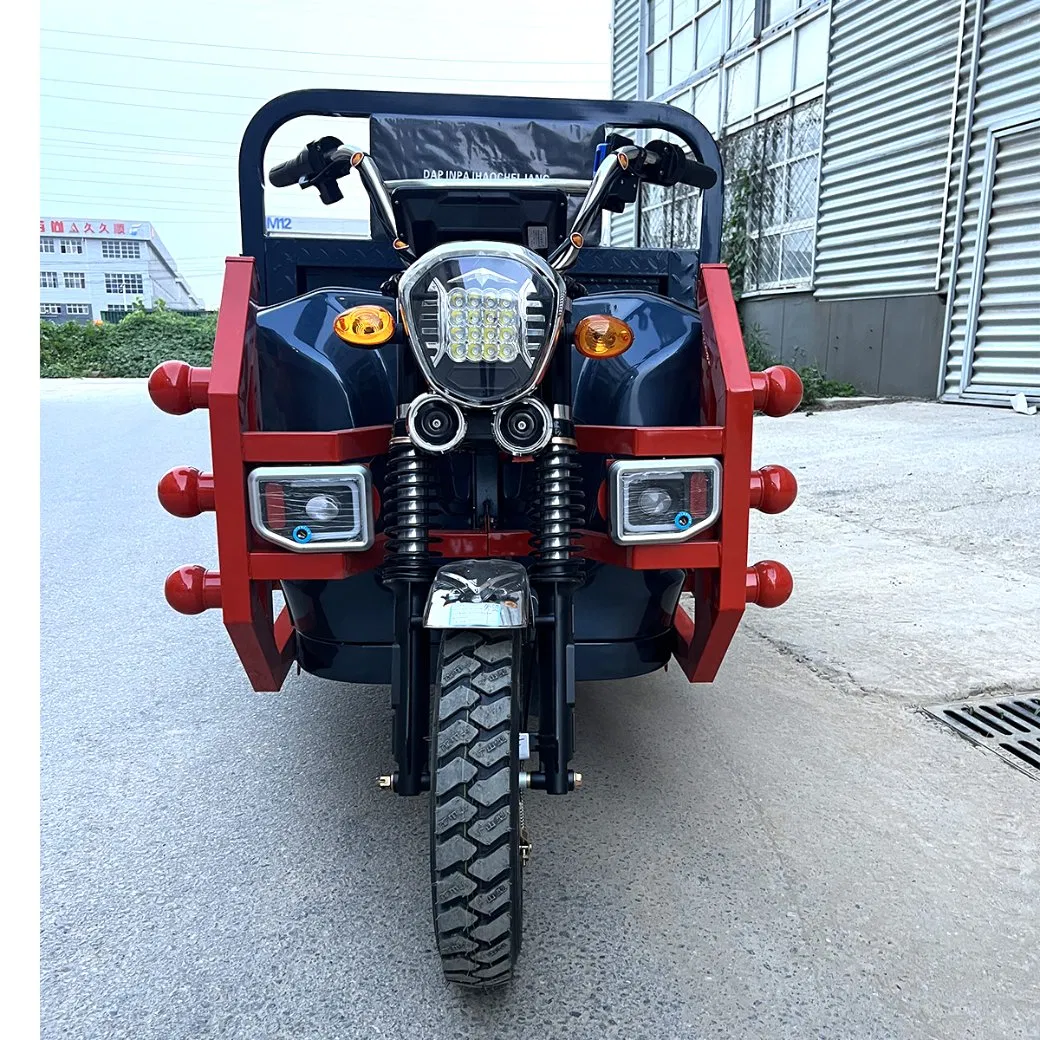 Senka Factory OEM Truck Cargo Trike Strong Climbing Ability Three Wheel Electric Solar Tricycle for Sale - Image 6