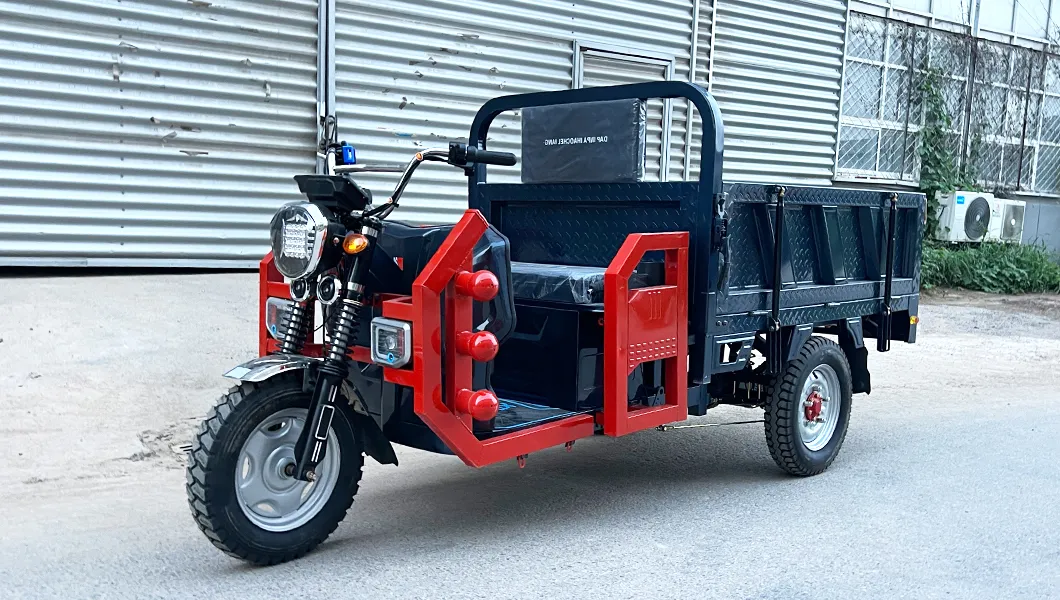 Senka Factory OEM Truck Cargo Trike Strong Climbing Ability Three Wheel Electric Solar Tricycle for Sale - detail 1