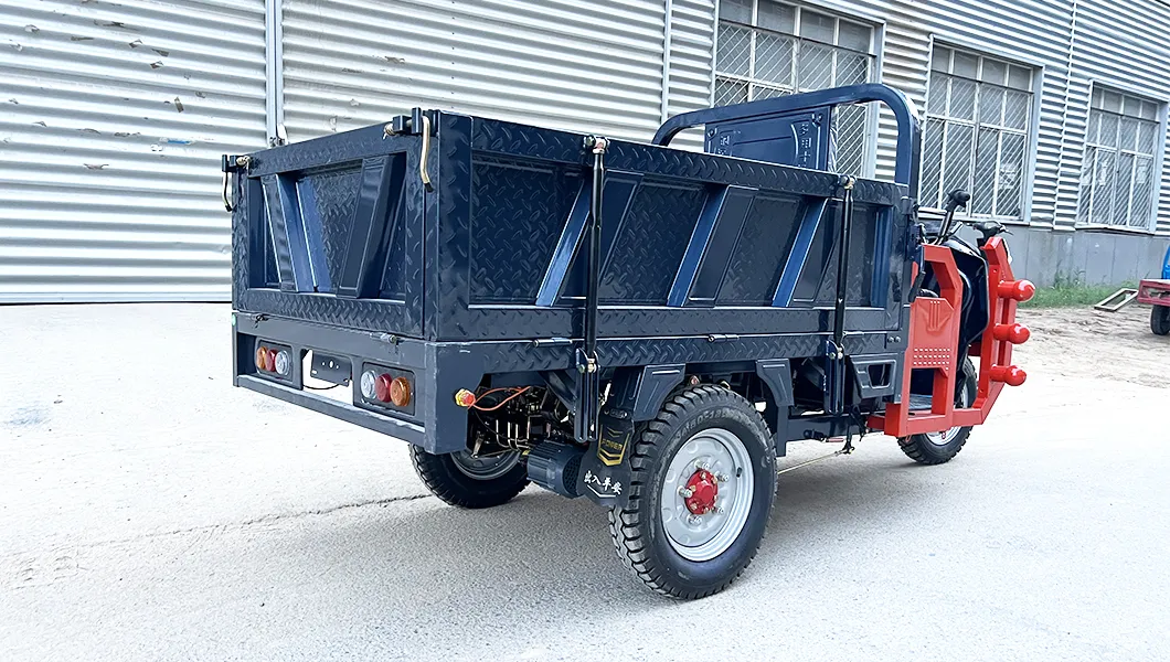 Senka Factory OEM Truck Cargo Trike Strong Climbing Ability Three Wheel Electric Solar Tricycle for Sale - detail 2