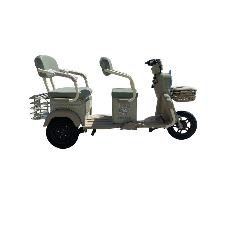 48V 500W Electric Tricycle Passenger Tricycle and Cargo Tricycle 60V Tricycle