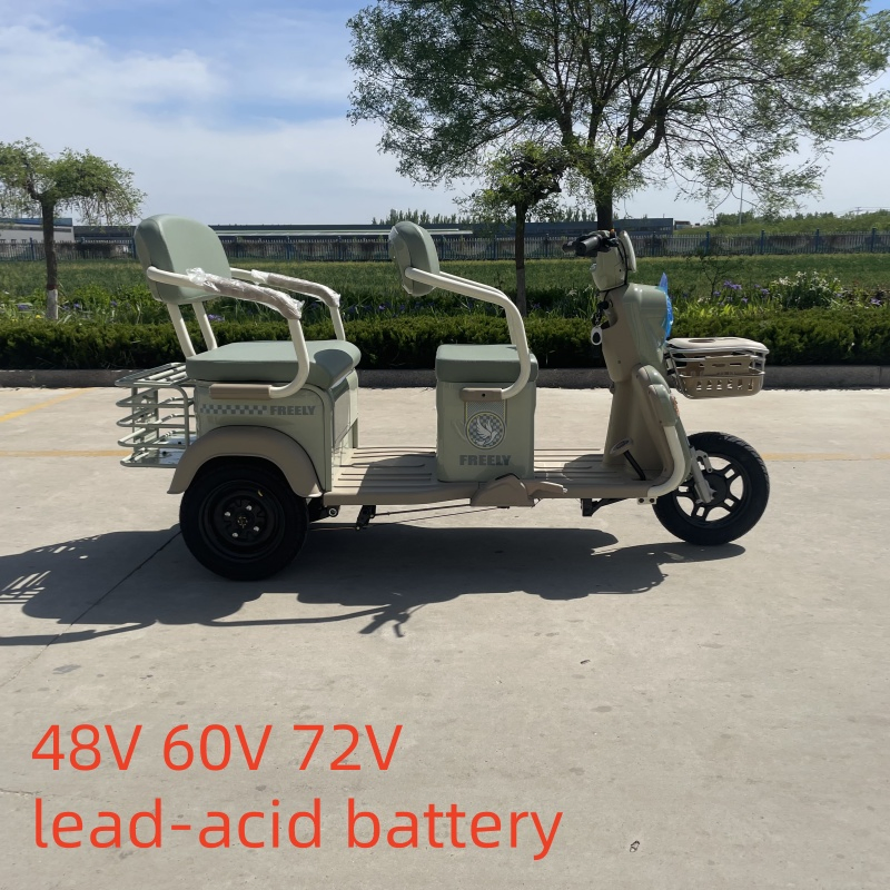 48V 500W Electric Tricycle Passenger Tricycle and Cargo Tricycle 60V Tricycle - Image 2