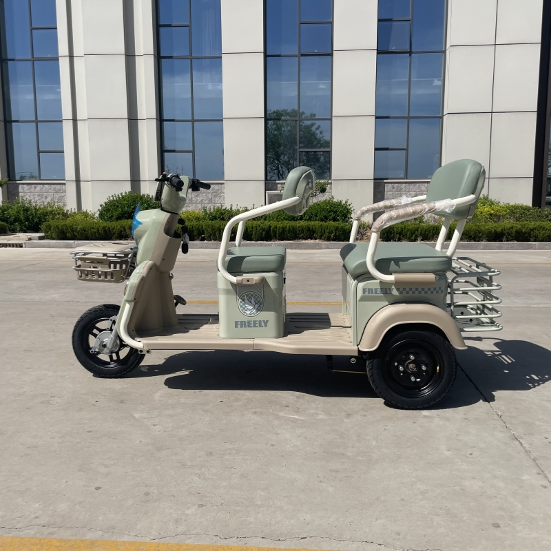 48V 500W Electric Tricycle Passenger Tricycle and Cargo Tricycle 60V Tricycle - Image 3
