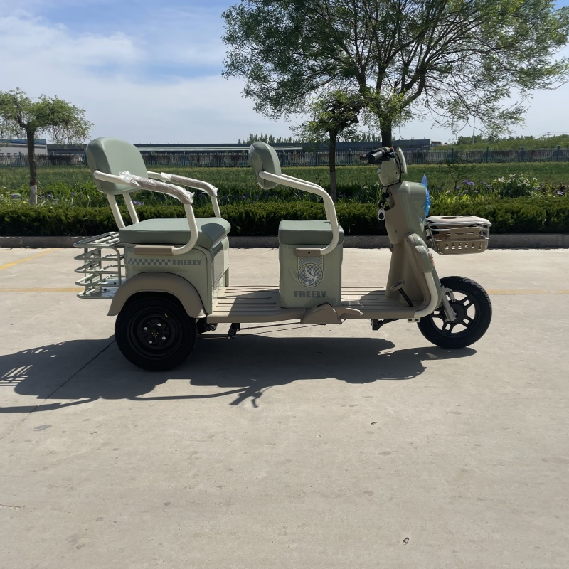 48V 500W Electric Tricycle Passenger Tricycle and Cargo Tricycle 60V Tricycle - Image 4