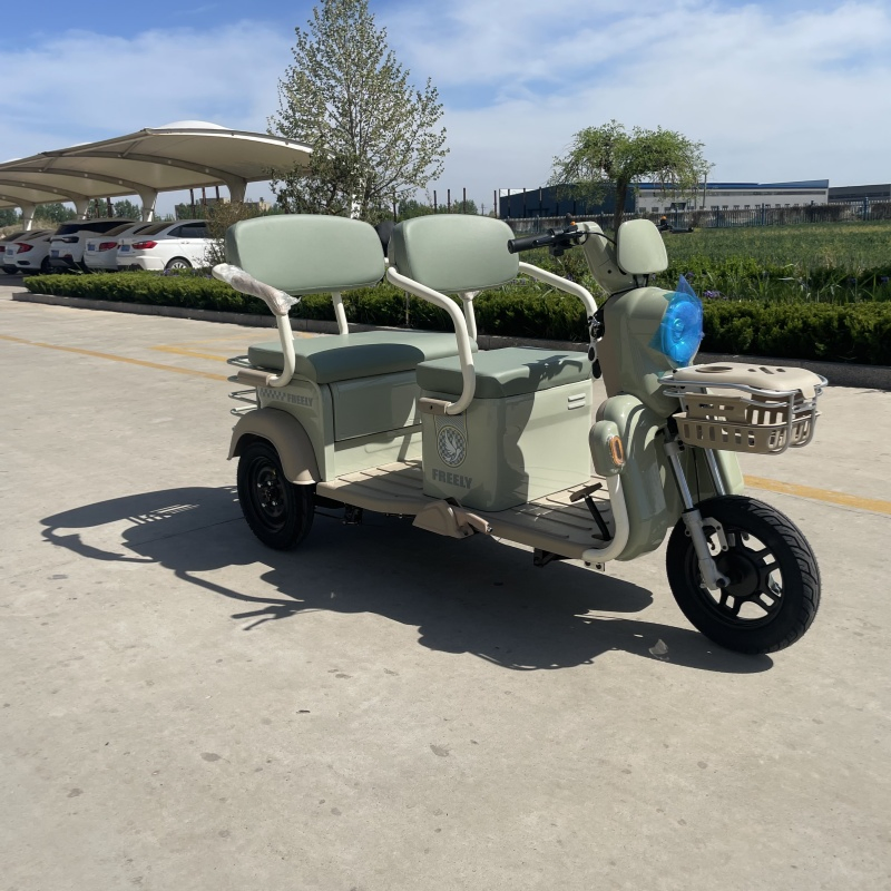 48V 500W Electric Tricycle Passenger Tricycle and Cargo Tricycle 60V Tricycle - Image 5