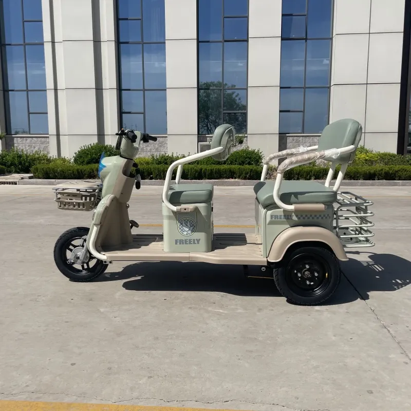 48V 500W Electric Tricycle Passenger Tricycle and Cargo Tricycle 60V Tricycle - detail 2
