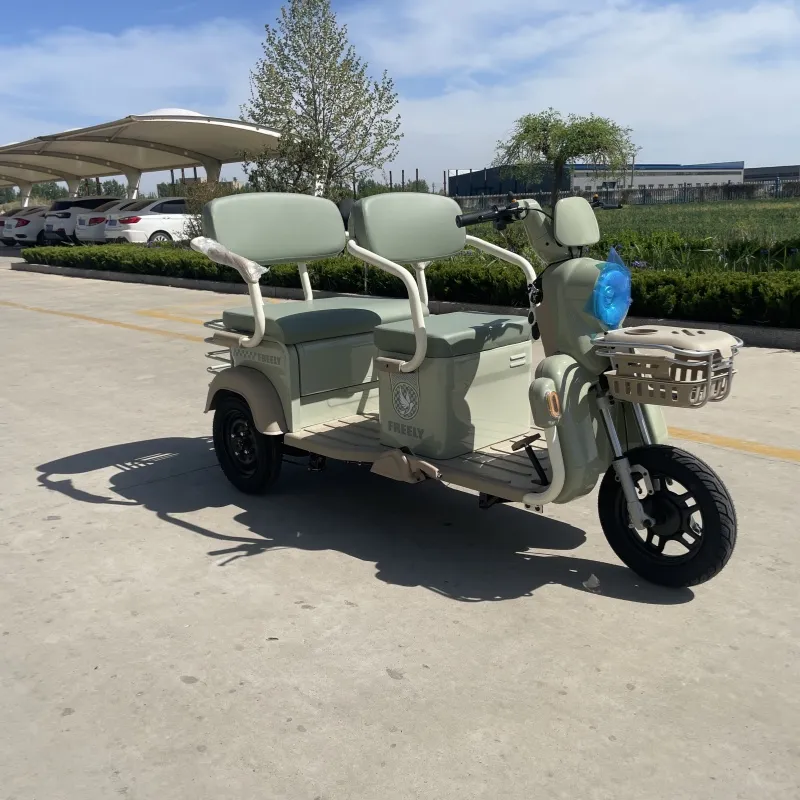 48V 500W Electric Tricycle Passenger Tricycle and Cargo Tricycle 60V Tricycle - detail 3