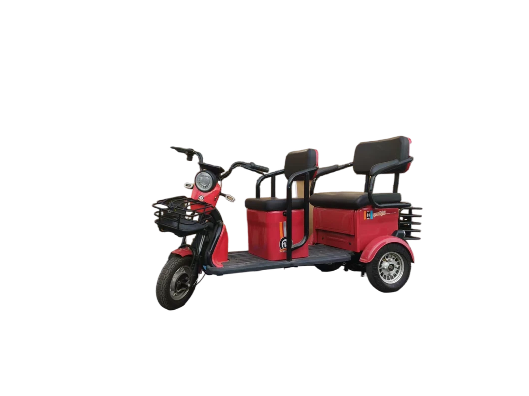 Comfortable Double-Seat Electric Tricycle Suitable for Daily Trip and Cargo Transport - detail 1