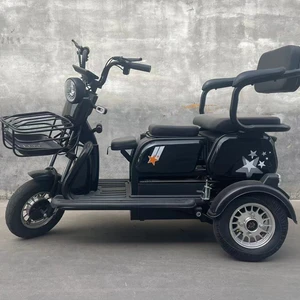 Comfortable Double-Seat Electric Tricycle Suitable for Daily Trip and Cargo Transport - detail 11