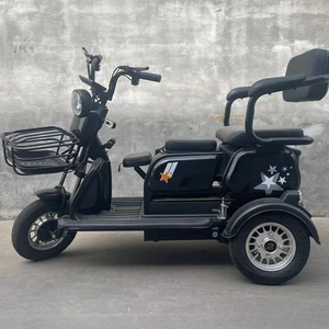Comfortable Double-Seat Electric Tricycle Suitable for Daily Trip and Cargo Transport - detail 12