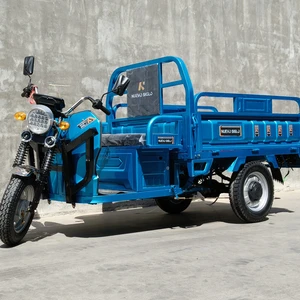 Comfortable Double-Seat Electric Tricycle Suitable for Daily Trip and Cargo Transport - detail 15