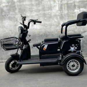 Comfortable Double-Seat Electric Tricycle Suitable for Daily Trip and Cargo Transport - detail 16