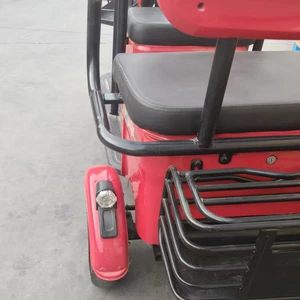 Comfortable Double-Seat Electric Tricycle Suitable for Daily Trip and Cargo Transport - detail 18