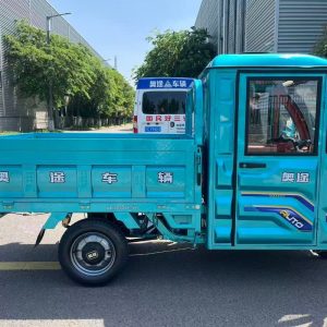 Open Frame Compact Electric Cargo Tricycle for Global Market