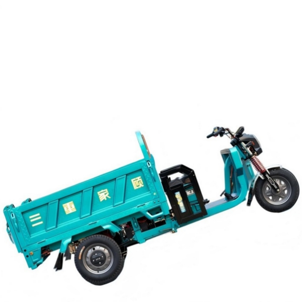 Advanced Technology High Strength Checkered Steel Plate Heavy Duty Electric Cargo Tricycle for Dock Transportation - Image 6