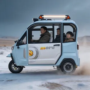 Electric Cargo Tricycle with Sensitive One-Foot Three-Wheel Linkage Brake - detail 16