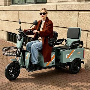 Wholesale 600W 3-Wheel Electric Bike Passenger Cargo Adult Electric Tricycle