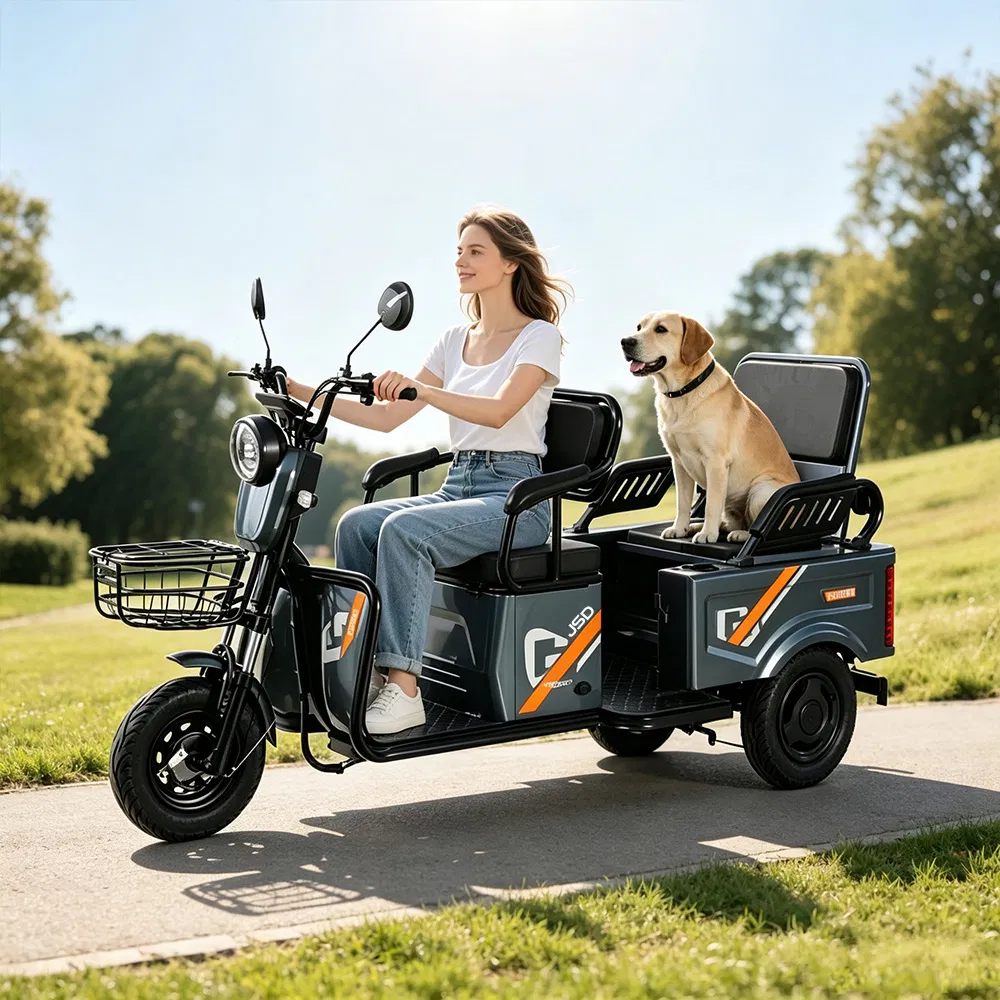 Wholesale 600W 3-Wheel Electric Bike Passenger Cargo Adult Electric Tricycle - Image 4