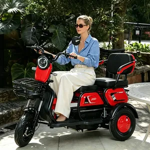 Wholesale 600W 3-Wheel Electric Bike Passenger Cargo Adult Electric Tricycle - detail 18