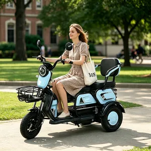 Wholesale 600W 3-Wheel Electric Bike Passenger Cargo Adult Electric Tricycle - detail 19