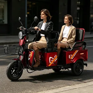 Wholesale 600W 3-Wheel Electric Bike Passenger Cargo Adult Electric Tricycle - detail 20