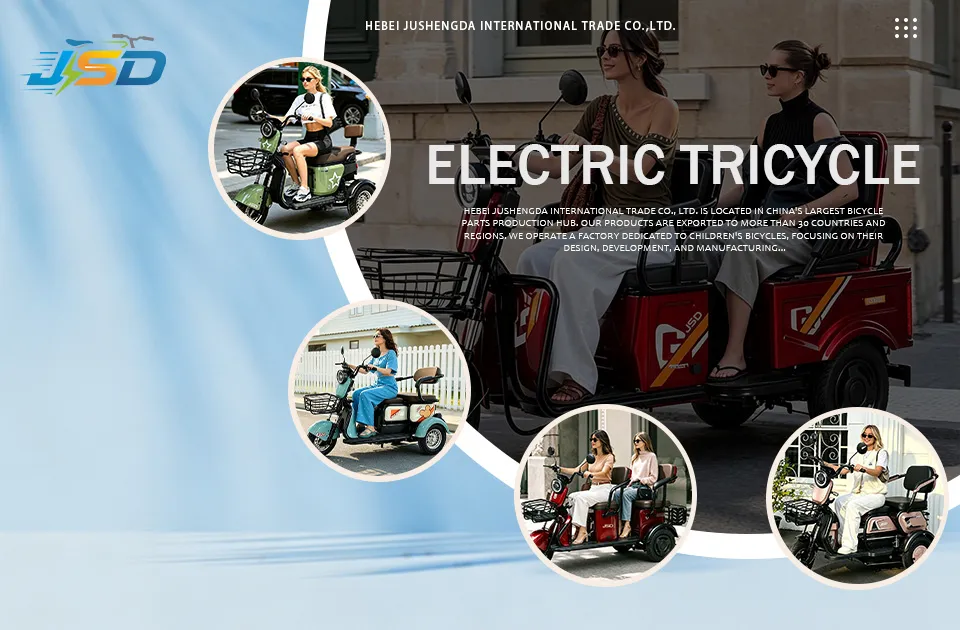 Factory Direct Wholesale Three Seats Electronic Delivery Cargo Bike Electric Tricycle - detail 1