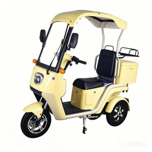 Versatile Electric Tricycle for Passengers and Cargo Transport