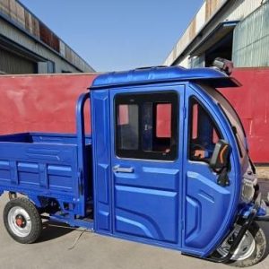 Large Capacity and Heavy Load 1000W Motor 3 Wheel Electric Cargo Tricycle