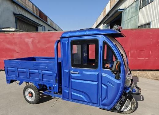 Large Capacity and Heavy Load 1000W Motor 3 Wheel Electric Cargo Tricycle
