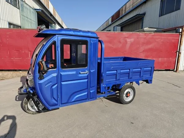 Large Capacity and Heavy Load 1000W Motor 3 Wheel Electric Cargo Tricycle - detail 1