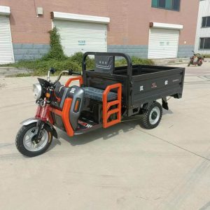 Hot Selling Three Wheel E-Bike Adult Tricycle Motorcycle Truck 1000W 60V Heavy Load Moped Cargo Tricycle