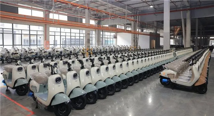 Hot Selling Three Wheel E-Bike Adult Tricycle Motorcycle Truck 1000W 60V Heavy Load Moped Cargo Tricycle - detail 14