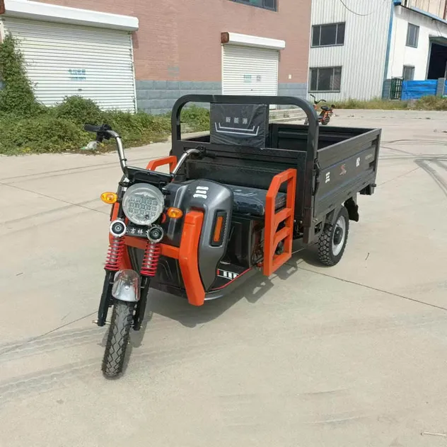 Hot Selling Three Wheel E-Bike Adult Tricycle Motorcycle Truck 1000W 60V Heavy Load Moped Cargo Tricycle - detail 8