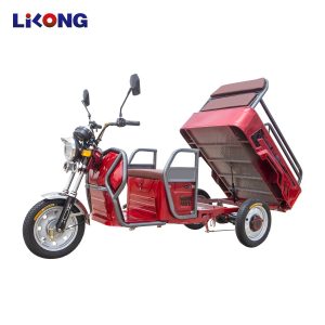 Boutique 3-Wheel Motorcycle Cargo Electric Powered Tricycle with Exquisite Baking Paint