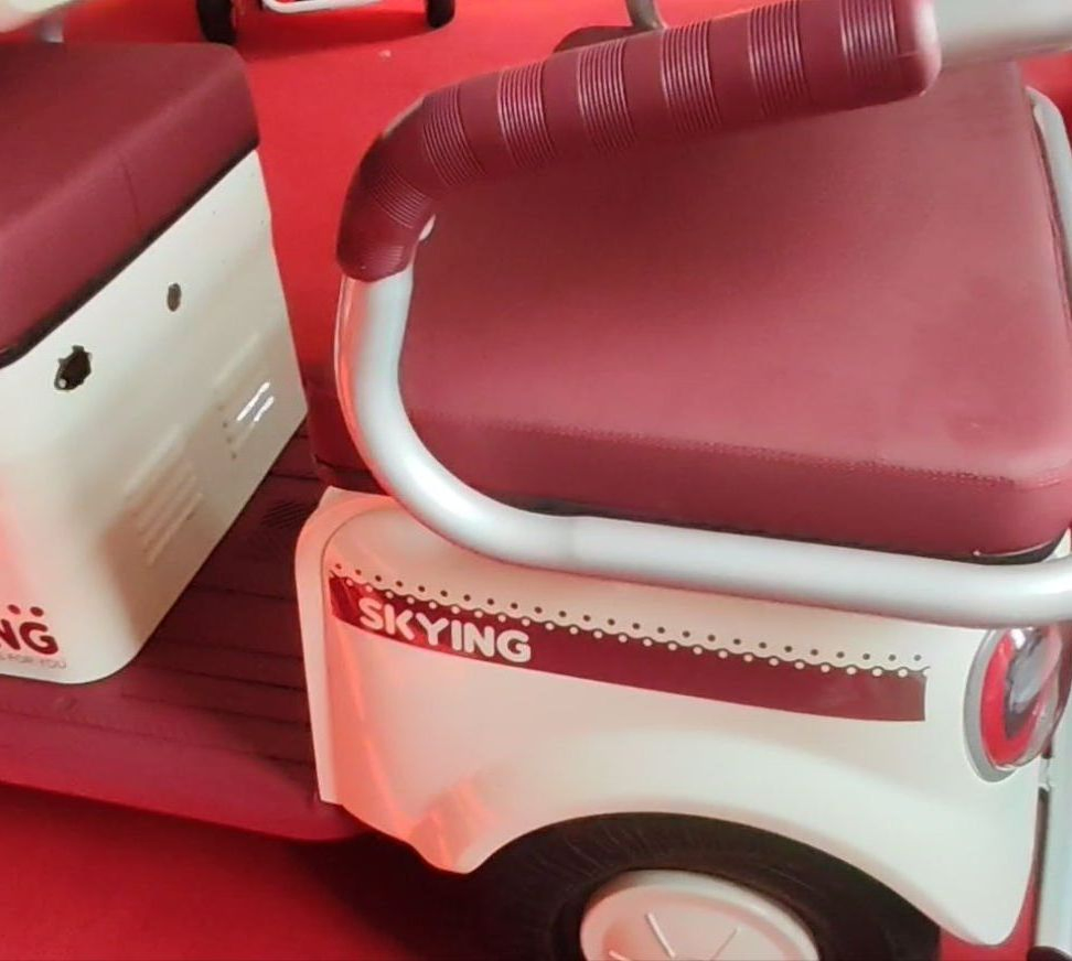 Wholesale Cheap Electric Tricycle – New Design 3 Wheel Electric Trike for Passenger & Cargo Transport - Image 2