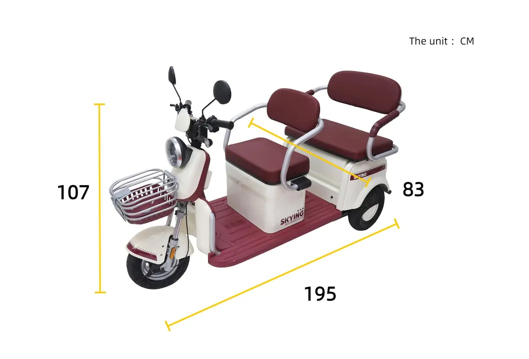 Wholesale Cheap Electric Tricycle – New Design 3 Wheel Electric Trike for Passenger & Cargo Transport - detail 1