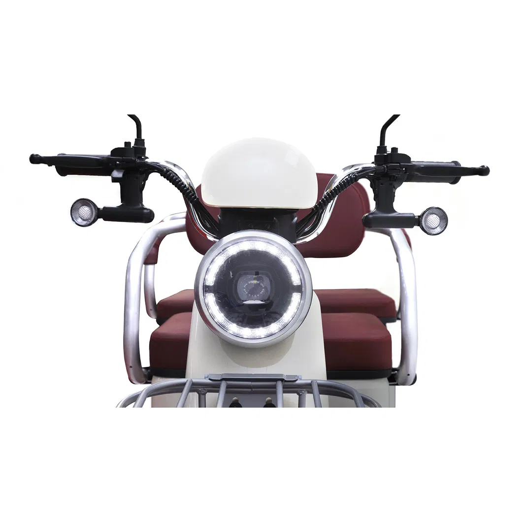 Wholesale Cheap Electric Tricycle – New Design 3 Wheel Electric Trike for Passenger & Cargo Transport - detail 3