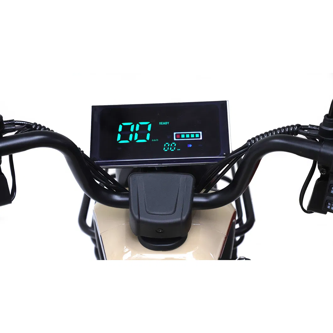 Wholesale Cheap Electric Tricycle – New Design 3 Wheel Electric Trike for Passenger & Cargo Transport - detail 5