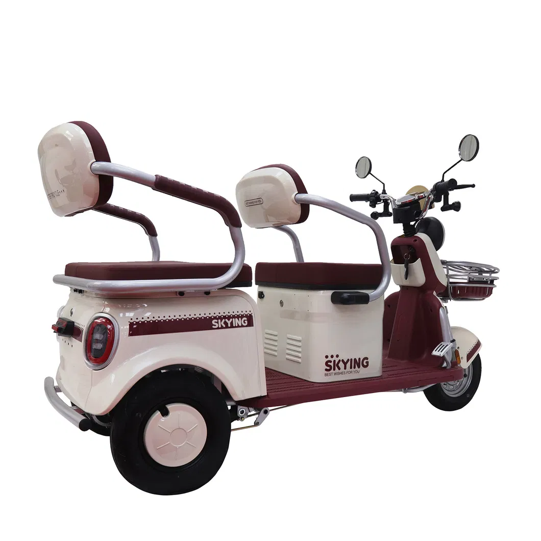 Wholesale Cheap Electric Tricycle – New Design 3 Wheel Electric Trike for Passenger & Cargo Transport - detail 6