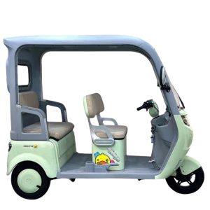The Body Leisure Electric Tricycle with a Canopy, Suitable for Both Passenger and Cargo Use, Is an Adult Household Tricycle