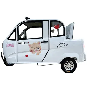 The Body Leisure Electric Tricycle with a Canopy, Suitable for Both Passenger and Cargo Use, Is an Adult Household Tricycle - detail 17