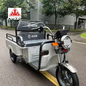 China Manufacturer Electric Cargo Tricycle Three Wheel Light Duty E-Trike Electric Tricycle for Daily Commute & Shopping