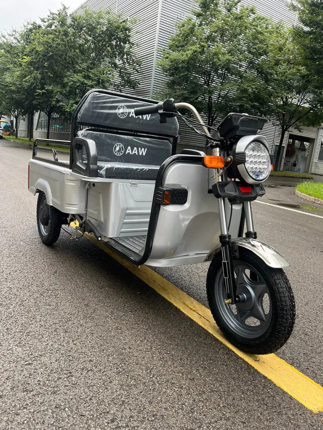 China Manufacturer Electric Cargo Tricycle Three Wheel Light Duty E-Trike Electric Tricycle for Daily Commute & Shopping - detail 3