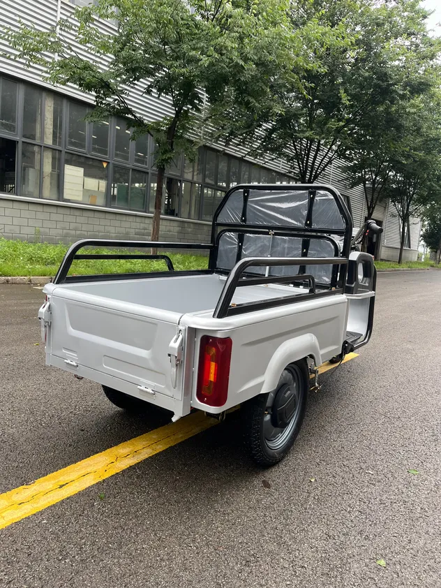 China Manufacturer Electric Cargo Tricycle Three Wheel Light Duty E-Trike Electric Tricycle for Daily Commute & Shopping - detail 4