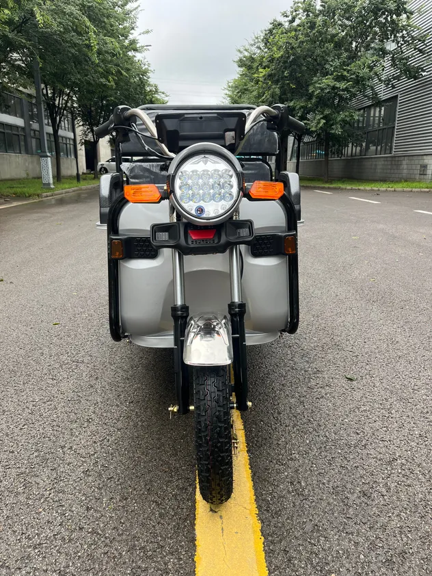 China Manufacturer Electric Cargo Tricycle Three Wheel Light Duty E-Trike Electric Tricycle for Daily Commute & Shopping - detail 5