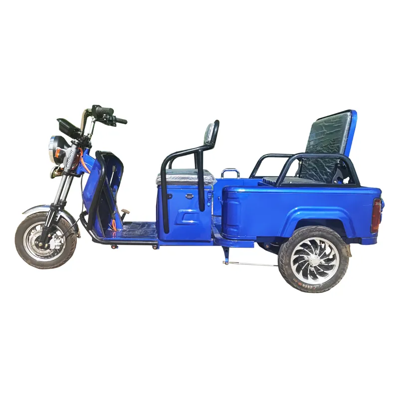 Wholesale Cargo Passenger Trike Electric Tricycle for Elderly Foldable Seat - detail 2