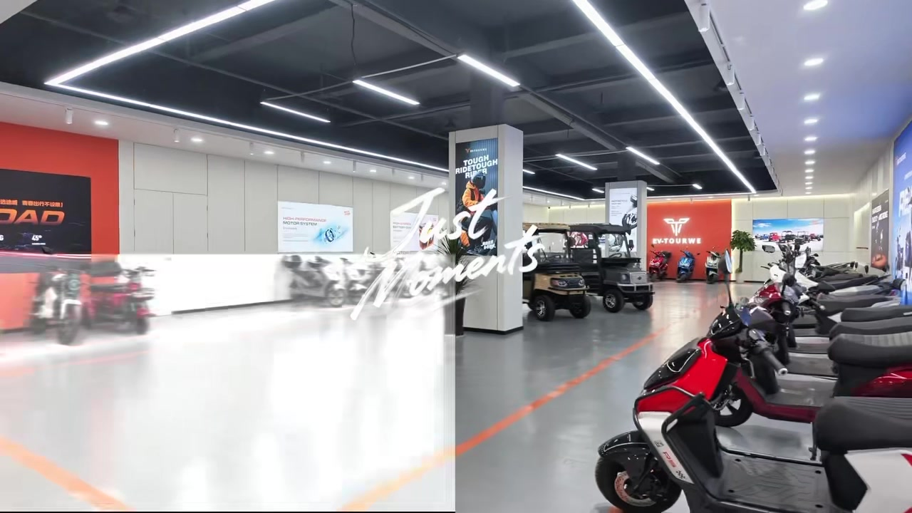 Wholesale Cargo Passenger Trike Electric Tricycle for Elderly Foldable Seat - detail 11