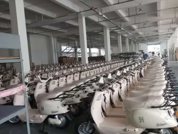 Wholesale Cargo Passenger Trike Electric Tricycle for Elderly Foldable Seat - detail 14