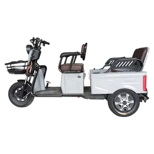 Wholesale Cargo Passenger Trike Electric Tricycle for Elderly Foldable Seat - detail 18