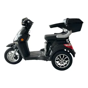 Wholesale Cargo Passenger Trike Electric Tricycle for Elderly Foldable Seat - detail 19