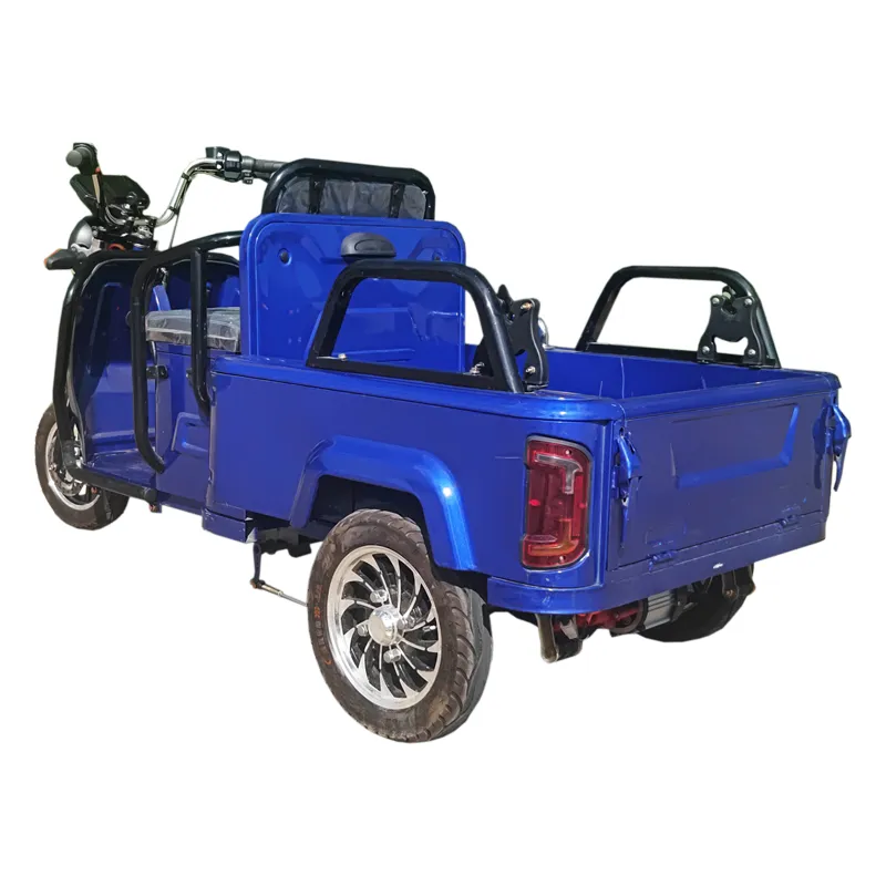 Wholesale Cargo Passenger Trike Electric Tricycle for Elderly Foldable Seat - detail 5